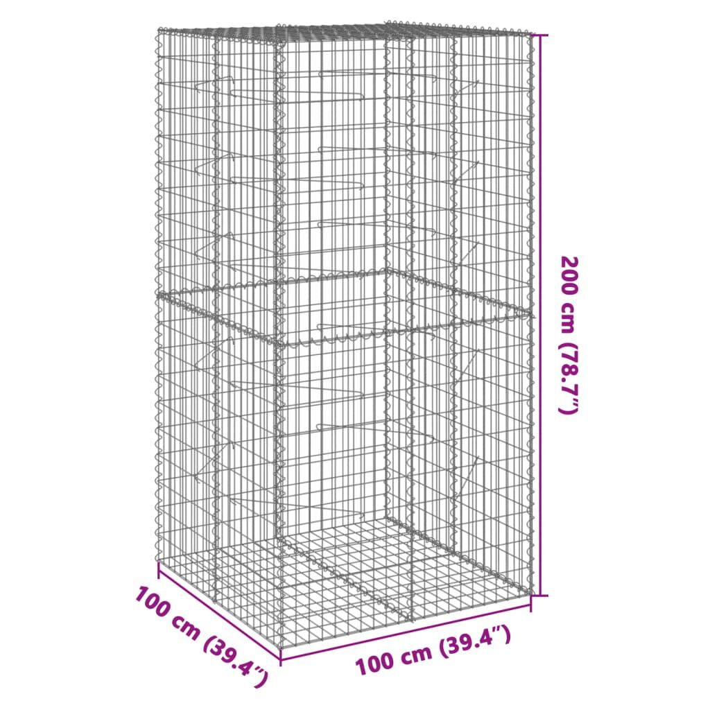 vidaXL Συρματοκιβώτιο με Κάλυμμα 100x100x200εκ από Γαλβανισμένο Χάλυβα