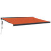 Orange_and_black