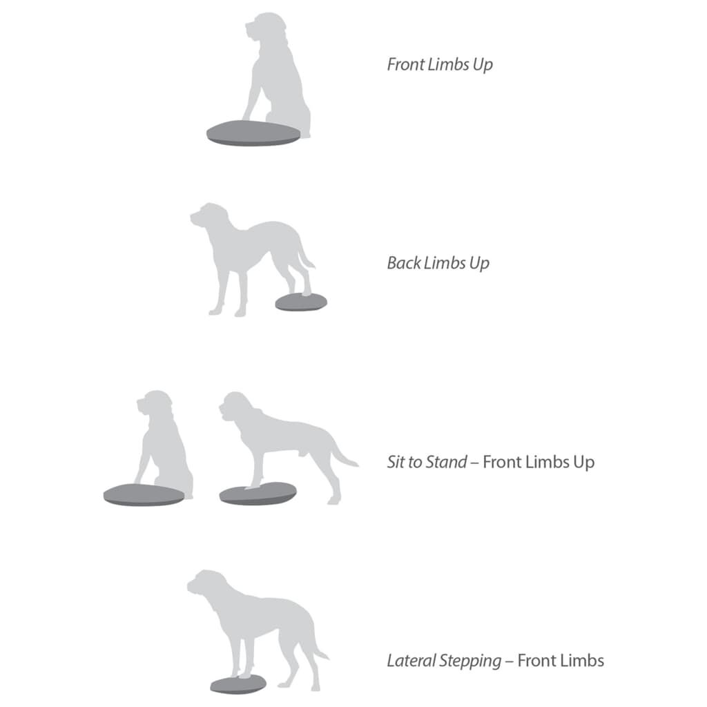 FitPAWS Δίσκος Ισορροπίας Κατοικιδίου 36 εκ. Μπλε