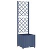 Blue_grey