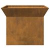 vidaXL Φωτιά Σκ rusty 50 x 50 x 40 cm Ατσάλι σκληρυθέν στον αέρα