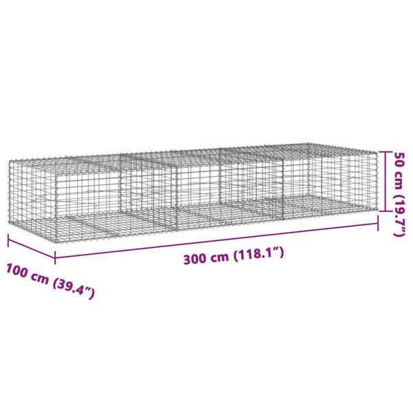 vidaXL Συρματοκιβώτιο με Κάλυμμα 300x100x50εκ. από Γαλβανισμένο Χάλυβα