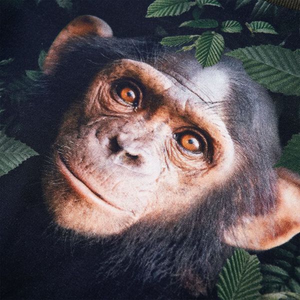 &Phi;&omicron;ύ&tau;&epsilon;&rho; &Pi;&alpha;&iota;&delta;&iota;&kappa;ό &Chi;&alpha;&kappa;ί 140