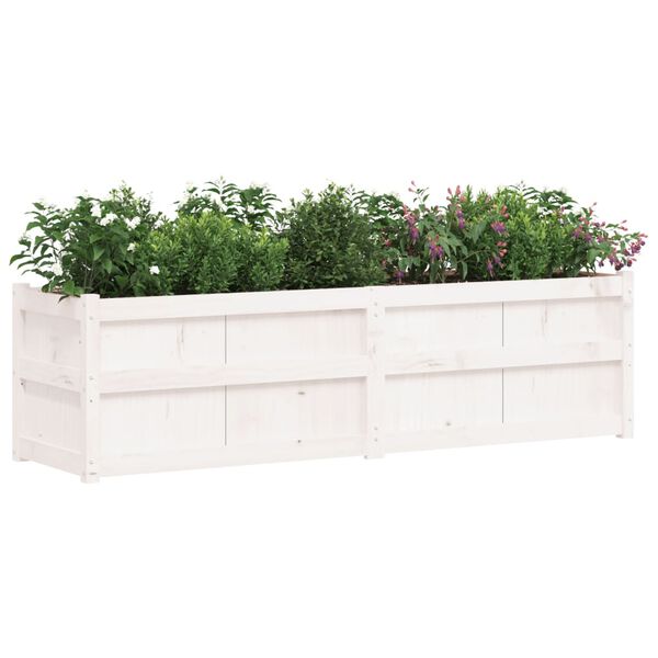 vidaXL Ζαρντινιέρα Λευκή 180x50x50 εκ. από Μασίφ Ξύλο Πεύκου