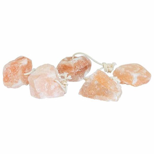 vidaXL Λίθοι Αλάτι Λιχλίδας 20 pcs Ροζ Πέτρες