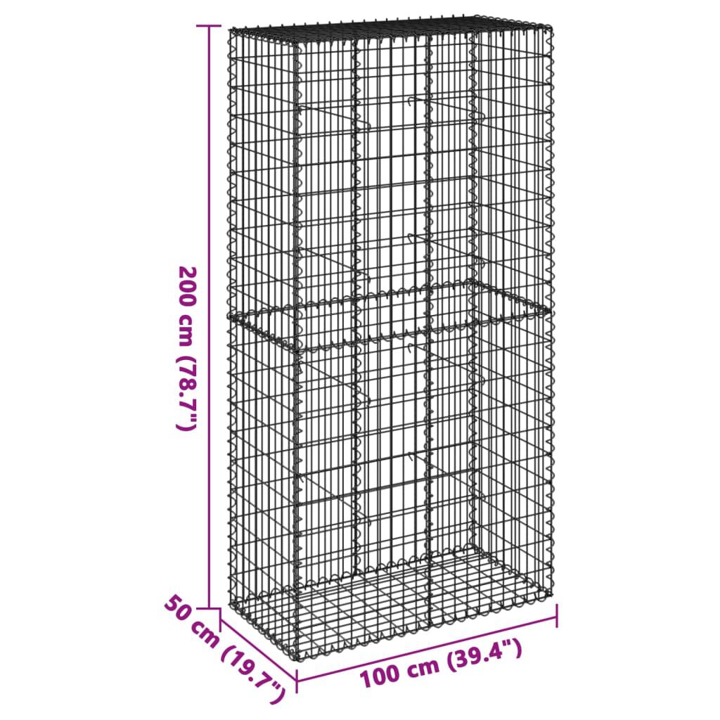 vidaXL Συρματοκιβώτιο με Κάλυμμα 100x50x200εκ. από Γαλβανισμένο Χάλυβα