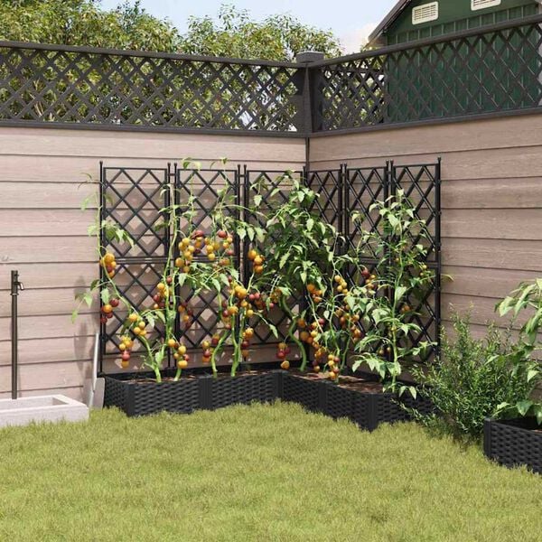 vidaXL Κηποτινάκι με Τρέλα 5 pcs Μαύρο 120 x 120 x 125.5 εκ. PP