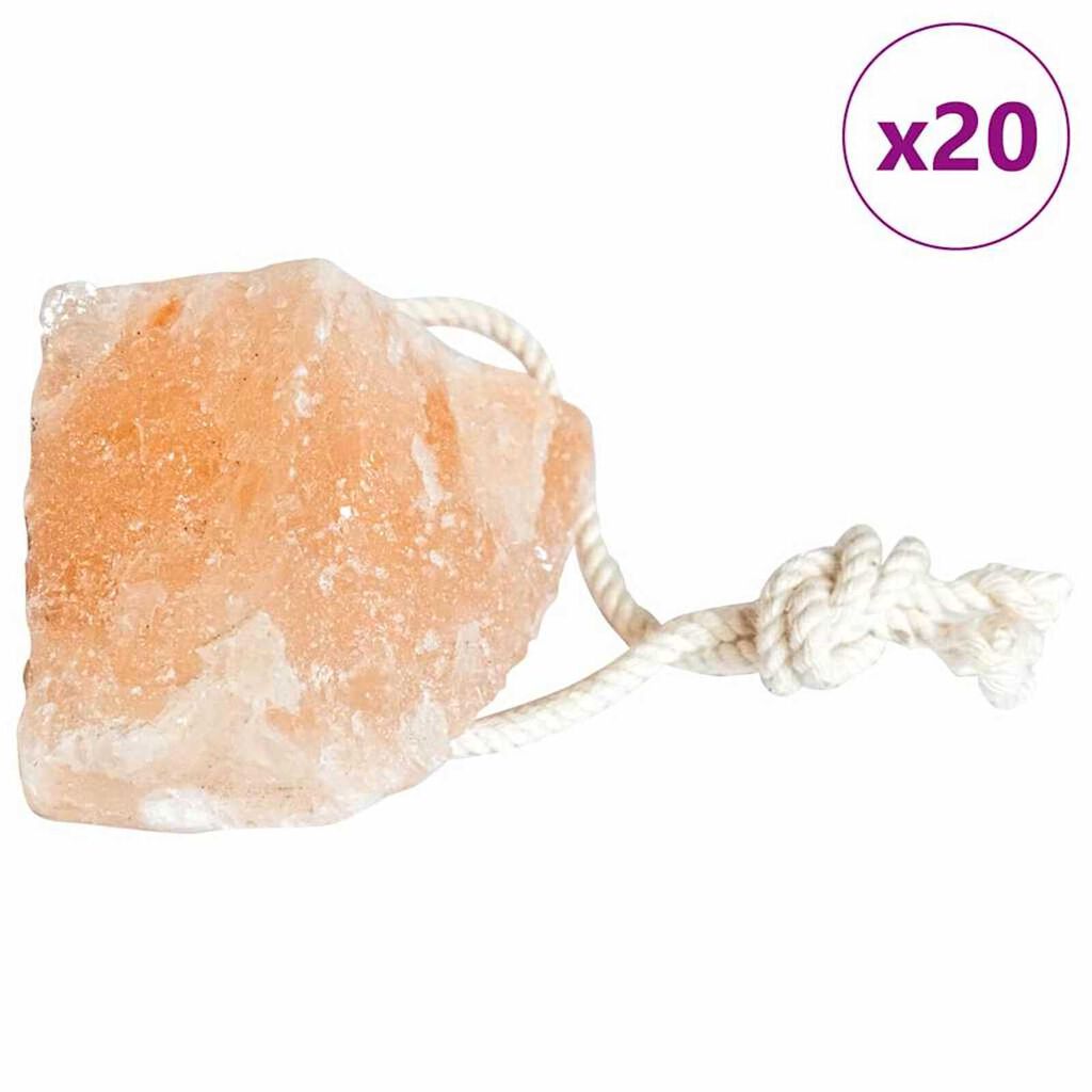 vidaXL Λίθοι Αλάτι Λιχλίδας 20 pcs Ροζ Πέτρες