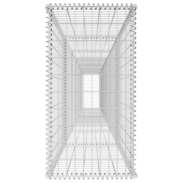 vidaXL Συρματοκιβώτιο Τοίχος 600x50x100 εκ. Γαλβαν.Χάλυβας + Κάλυμμα