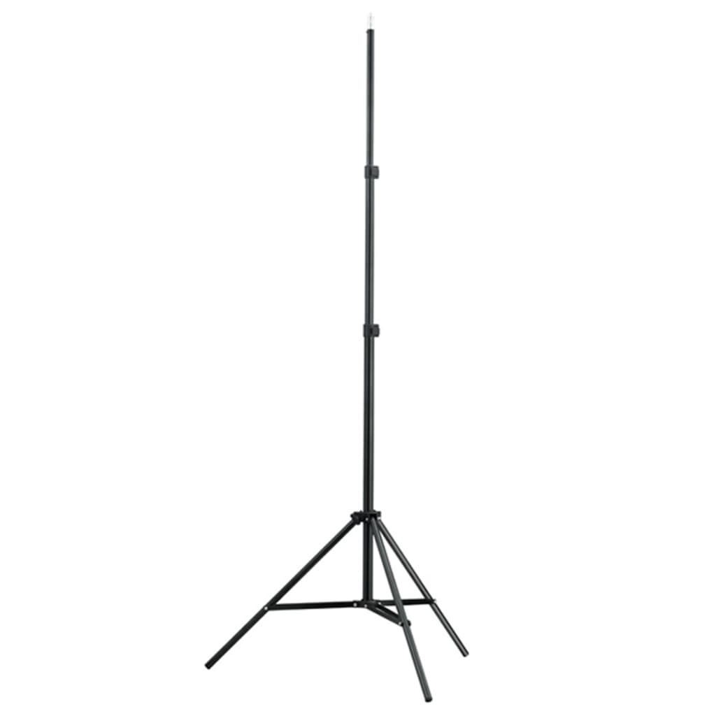 vidaXL Κιτ Φωτισμού Φωτογραφικού Στούντιο με Softbox και Φόντο