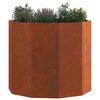 vidaXL &Gamma;&lambda;ά&sigma;&tau;&rho;&alpha; &Sigma;&kappa; rusty 60 x 60 x 50 &epsilon;&kappa; &Alpha;&tau;&sigma;ά&lambda;&iota; &Sigma;&kappa;&lambda;&eta;&rho;&upsilon;&theta;έ&nu; &sigma;&tau;&omicron;&nu; &Alpha;έ&rho;&alpha;
