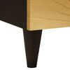 vidaXL Κομοδίνο Μαύρο και Χρυσό 40 x 33 x 46 εκ. Μασίφ ξύλο μάνγκο