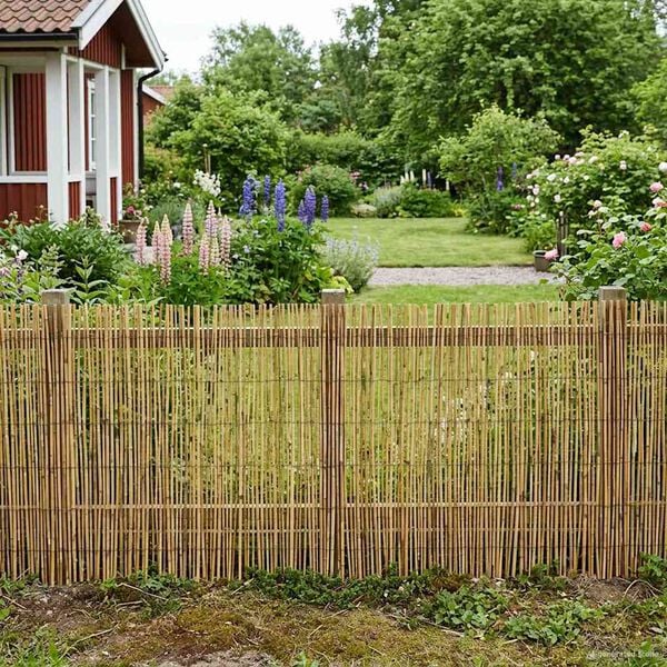 &Pi;&rho;&omicron;&beta;&omicron;&lambda;ή &Phi;&omega;&tau;&omicron;&gamma;&rho;&alpha;&phi;ί&alpha;&sigmaf; &Pi;&rho;&omicron;ϊό&nu;&tau;&omicron;&sigmaf; 2 &alpha;&pi;ό 7