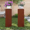 vidaXL &Beta;ά&sigma;&eta; &phi;&upsilon;&tau;ώ&nu; 2 pcs &Sigma;&kappa; rusty 24 x 24 x 75 &epsilon;&kappa;.