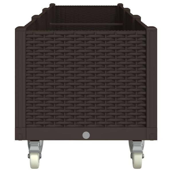 vidaXL &Zeta;&alpha;&rho;&nu;&tau;&iota;&nu;&iota;έ&rho;&alpha; &Kappa;ή&pi;&omicron;&upsilon; &mu;&epsilon; &Rho;&omicron;&delta;ά&kappa;&iota;&alpha; &Kappa;&alpha;&phi;έ 240x50x54 &epsilon;&kappa;. &Pi;&omicron;&lambda;&upsilon;&pi;&rho;&omicron;&pi;&upsilon;&lambda;έ&nu;&iota;&omicron;