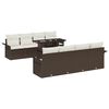 Brown_and_white