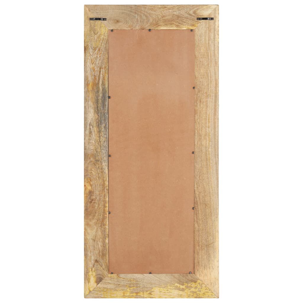 vidaXL Καθρέφτης 50 x 3 x 110 εκ. από Μασίφ Ξύλο Μάνγκο
