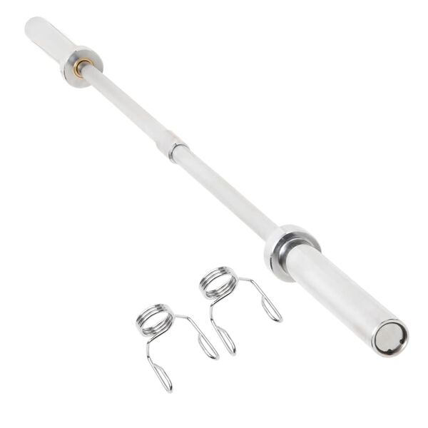 vidaXL &Mu;&pi;ά&rho;&alpha; &Omicron;&lambda;&upsilon;&mu;&pi;&iota;&alpha;&kappa;ή 180 &epsilon;&kappa;. &Alpha;&tau;&sigma;ά&lambda;&iota;&nu;&eta;