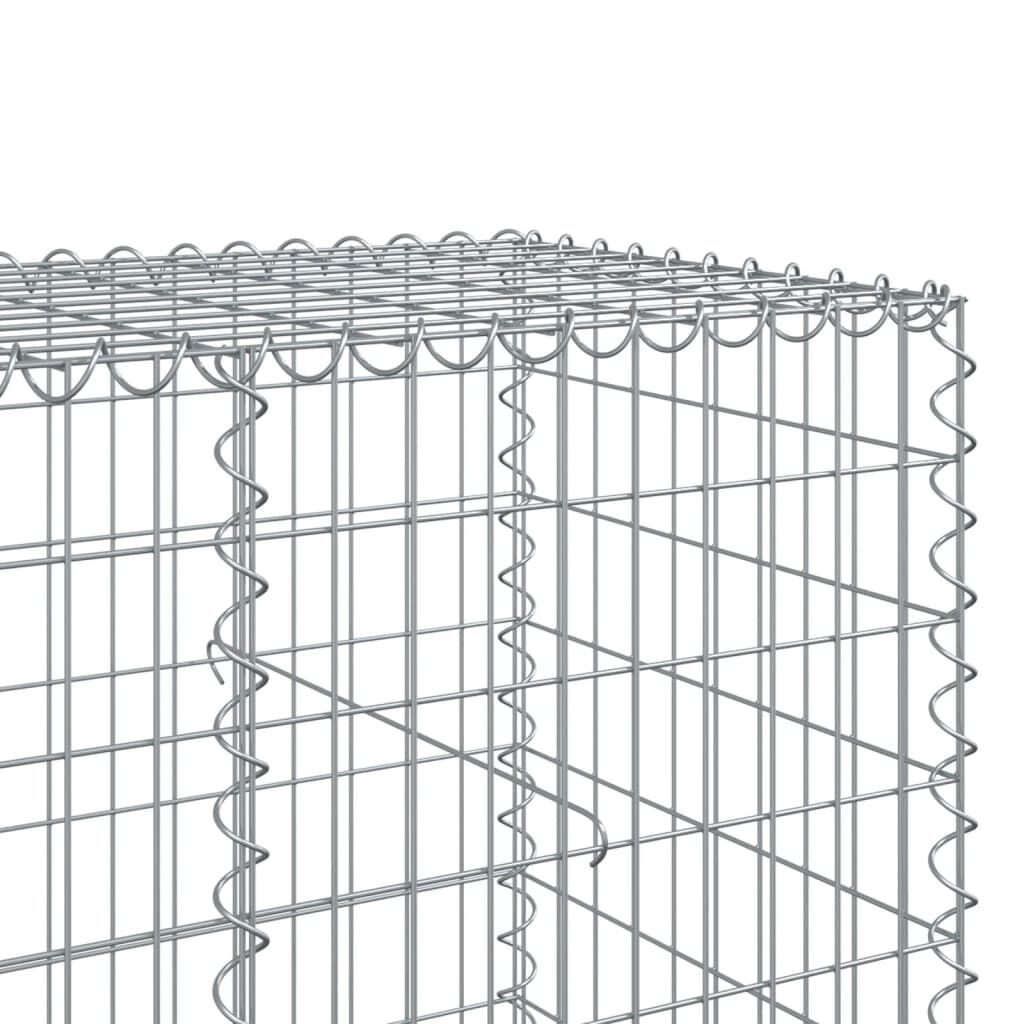 vidaXL Συρματοκιβώτιο με Κάλυμμα 250x100x100εκ από Γαλβανισμένο Χάλυβα