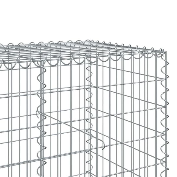 vidaXL Συρματοκιβώτιο με Κάλυμμα 250x100x100εκ από Γαλβανισμένο Χάλυβα