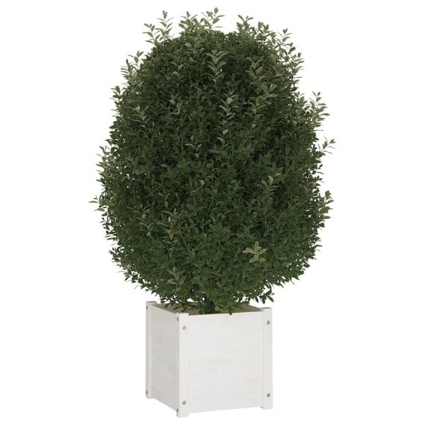 vidaXL Ζαρντινιέρες 2 τεμ. Λευκό 40 x 40 x 40 εκ από Μασίφ Ξύλο Πεύκου