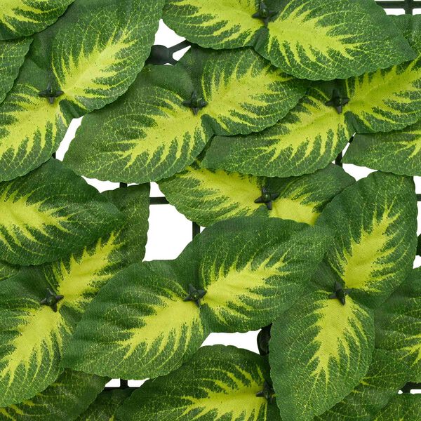 &Pi;&rho;&omicron;&beta;&omicron;&lambda;ή &Phi;&omega;&tau;&omicron;&gamma;&rho;&alpha;&phi;ί&alpha;&sigmaf; &Pi;&rho;&omicron;ϊό&nu;&tau;&omicron;&sigmaf; 4 &alpha;&pi;ό 6