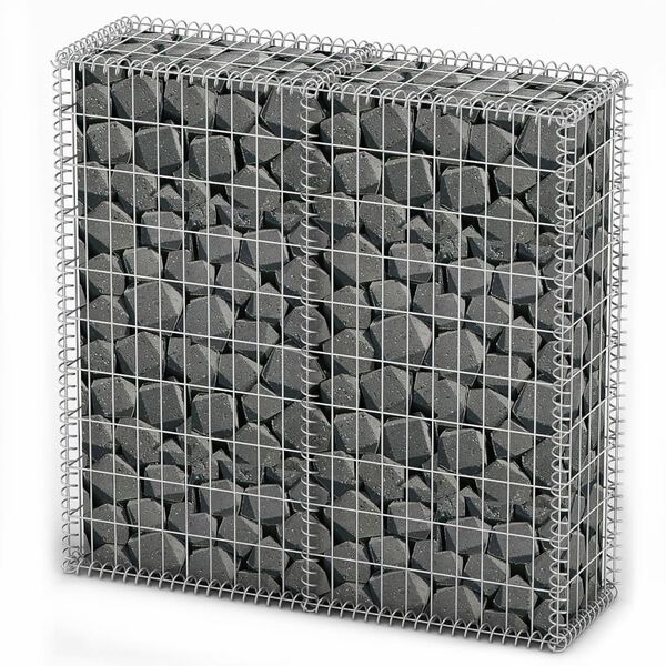 vidaXL Συρματοκιβώτιο 100 x 100 x 30 εκ. Γαλβανισμένο Σύρμα με Καπάκια