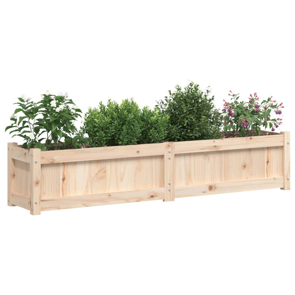 vidaXL Ζαρντινιέρα 150 x 31 x 31 εκ. από Μασίφ Ξύλο Πεύκου