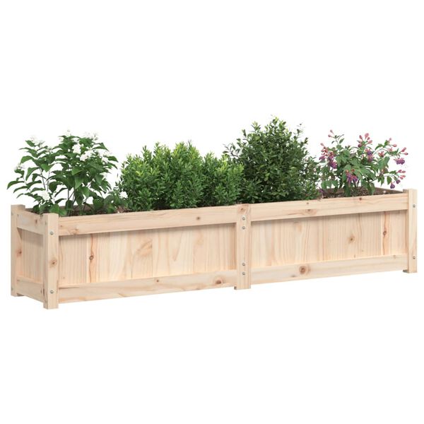 vidaXL Ζαρντινιέρα 150 x 31 x 31 εκ. από Μασίφ Ξύλο Πεύκου