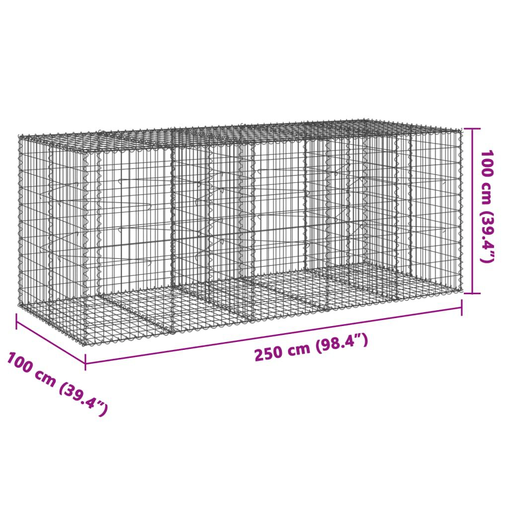 vidaXL Συρματοκιβώτιο με Κάλυμμα 250x100x100εκ από Γαλβανισμένο Χάλυβα