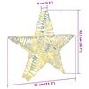 vidaXL 3D Αστέρι με 50 LED Θερμό λευκό 55 x 52.5 x 9 εκ PET