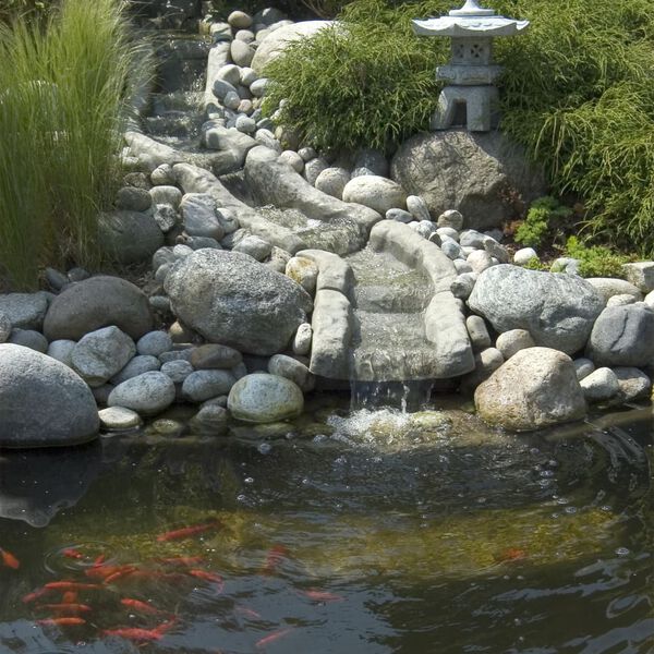 Ubbink &Sigma;&epsilon;&tau; &Phi;ί&lambda;&tau;&rho;&omicron;&upsilon; &Lambda;&iota;&mu;&nu;&omicron;ύ&lambda;&alpha;&sigmaf; Filtramax 12500 PlusSet 1355071