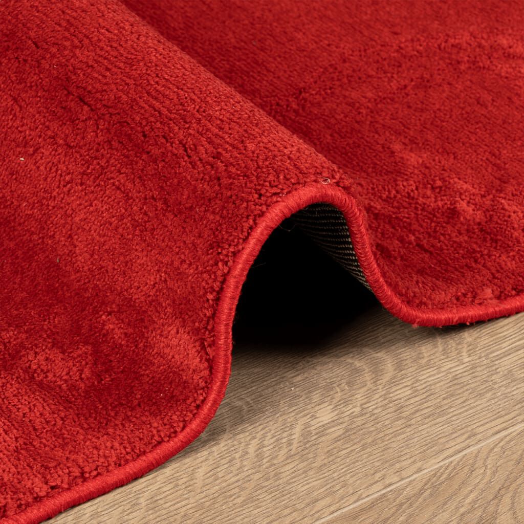vidaXL Χαλί OVIEDO με Κοντό Πέλος Κόκκινο 240 x 240 εκ.