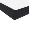 vidaXL Box Spring &Kappa;&rho;&epsilon;&beta;ά&tau;&iota; &mu;&epsilon; &sigma;&tau;&rho;ώ&mu;&alpha; &Mu;&alpha;ύ&rho;&omicron; 100x220 &epsilon;&kappa;. &Beta;&epsilon;&lambda;&omicron;ύ&delta;&iota;&nu;&omicron;
