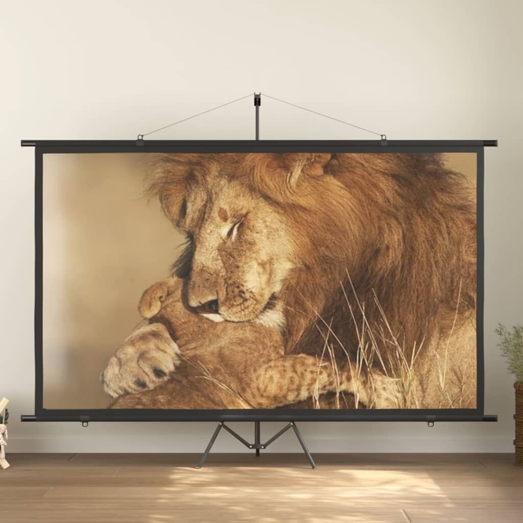 vidaXL Οθόνη Προβολής 120'' 16:9