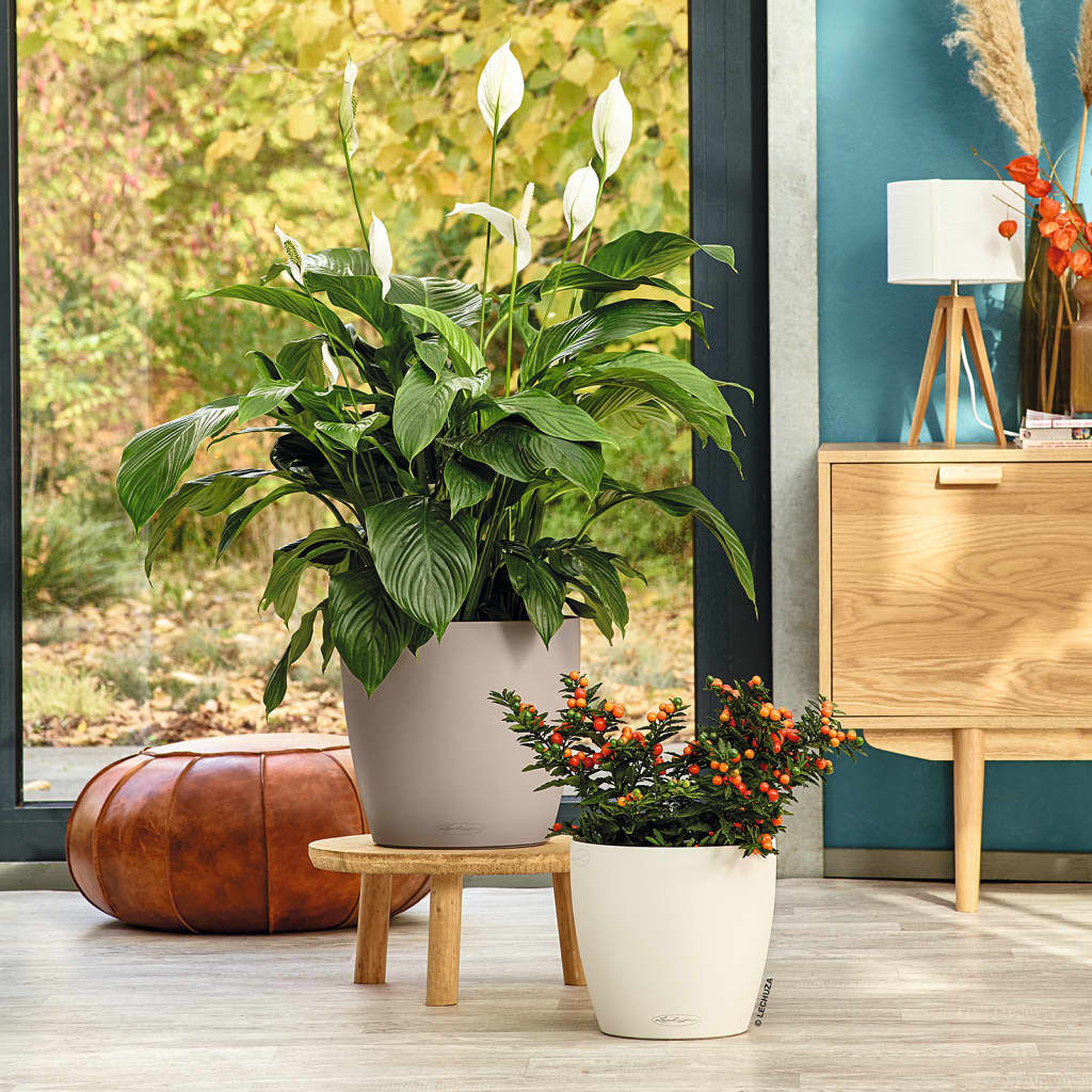 LECHUZA Γλάστρα Classico Color 28 ALL-IN-ONE Γυαλιστερό Λευκό 13190