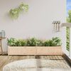vidaXL Ζαρντινιέρα 180 x 31 x 31 εκ. από Μασίφ Ξύλο Πεύκου