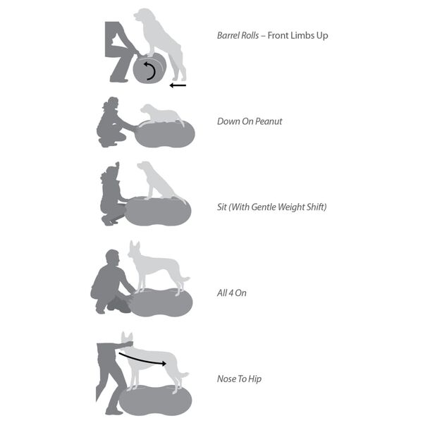 FitPAWS Πλατφόρμα Ισορροπίας Κατοικίδιου Trax Peanut Μπλε 60 εκ.