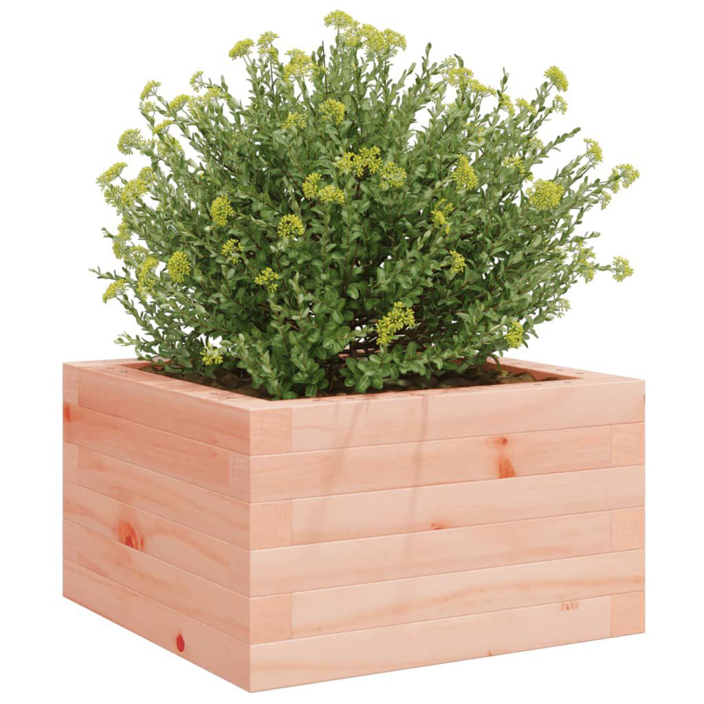 vidaXL Ζαρντινιέρα 40x40x23 εκ. από Μασίφ Ξύλο Ψευδοτσούγκας