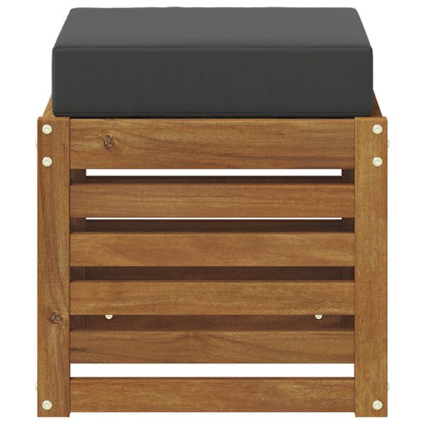 vidaXL &Pi;ά&gamma;&kappa;&omicron;&sigmaf; 2 &Tau;&epsilon;&mu;ά&chi;&iota;&omicron; &Phi;&upsilon;&sigma;&iota;&kappa;ό &kappa;&alpha;&iota; &Alpha;&nu;&theta;&rho;&alpha;&kappa;ί &Sigma;&tau;&epsilon;&rho;&epsilon;ό &Xi;ύ&lambda;&omicron; &Alpha;&kappa;&alpha;&kappa;ί&alpha;&sigmaf;