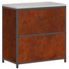 vidaXL &Alpha;&pi;&omicron;&theta;&eta;&kappa;&epsilon;&upsilon;&tau;&iota;&kappa;ό&sigmaf; &Chi;ώ&rho;&omicron;&sigmaf; &Kappa;&omicron;&upsilon;&zeta;ί&nu;&alpha;&sigmaf; &Sigma;&kappa; rusty 60 x 50 x 92 &epsilon;&kappa; &Alpha;&tau;&sigma;ά&lambda;&iota;