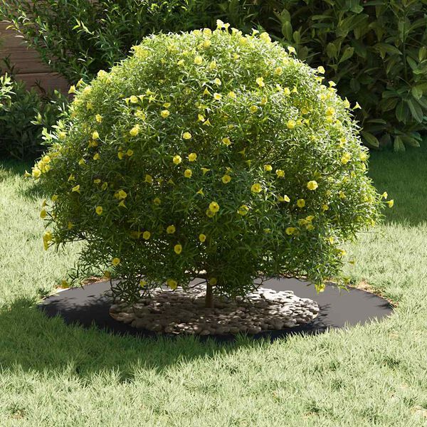 vidaXL &kappa;&alpha;&tau;ά&lambda;&lambda;&eta;&lambda;&omicron; &gamma;&iota;&alpha; &delta;&alpha;&chi;&tau;&upsilon;&lambda;ί&delta;&iota; &epsilon;&pi;ί&pi;&epsilon;&delta;&omicron;&upsilon; &delta;έ&nu;&tau;&rho;&omicron;&upsilon; &Mu;&alpha;ύ&rho;&omicron; &Oslash;40 / 70 &epsilon;&kappa;.