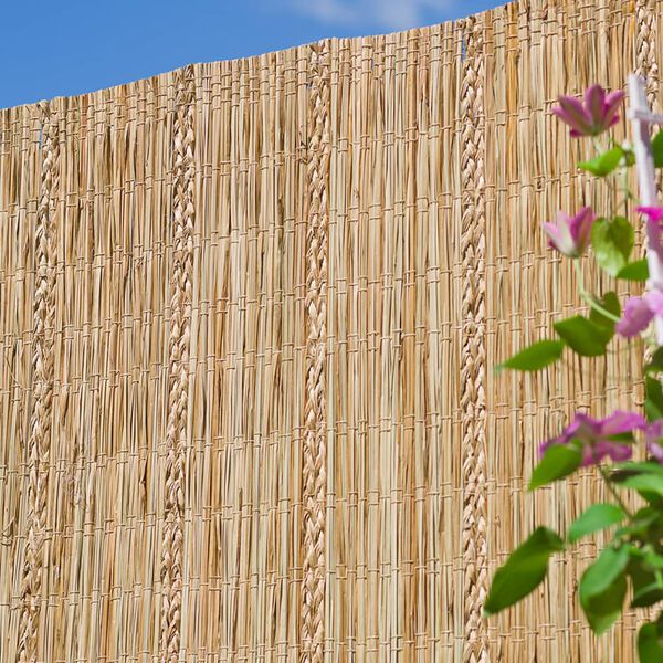 Nature Καλαμωτή Περίφραξης 3 x 1,5 μ. από Κύπερη