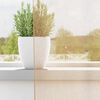 vidaXL Κουρτίνες Voile με βρόχους 2 τεμάχια Άμμος 140x140 cm