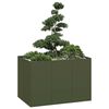 Olive_green