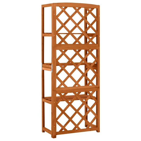 vidaXL Καφασωτό με Ράφια 55 x 30 x 140 εκ. από Μασίφ Ξύλο Ελάτης