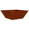 vidaXL &Gamma;&lambda;ά&sigma;&tau;&rho;&alpha; &Kappa;ή&pi;&omicron;&upsilon; 5 pcs &Sigma;&kappa; rusty 40 x 40 x 15 cm