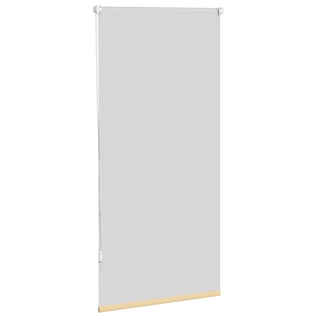 Στόρι Συσκότισης Ρόλερ Μπεζ 60 x 120 εκ.