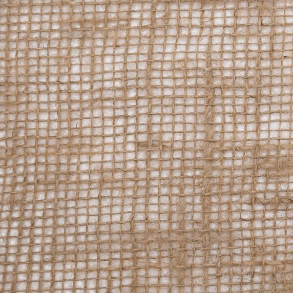 vidaXL Ρολό Γιούτας 0,25x100 μ. από 100% Γιούτα 200 gsm