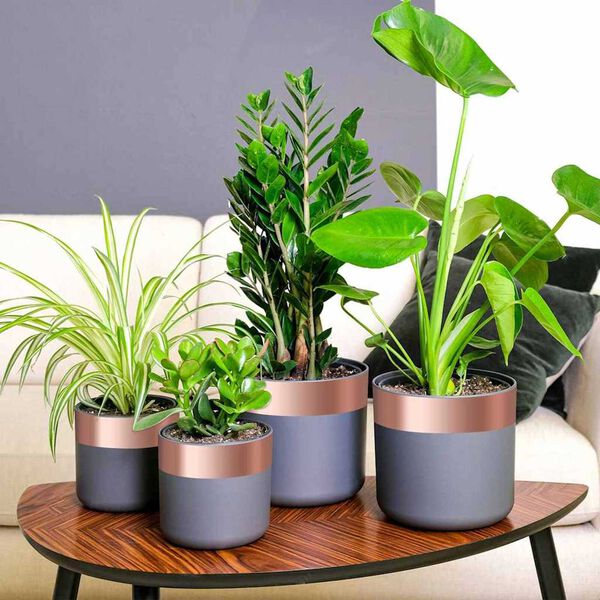 vidaXL Χαλκοταινία 6 pcs Χάλκινο 2000 x 7 εκ Χάλκινο